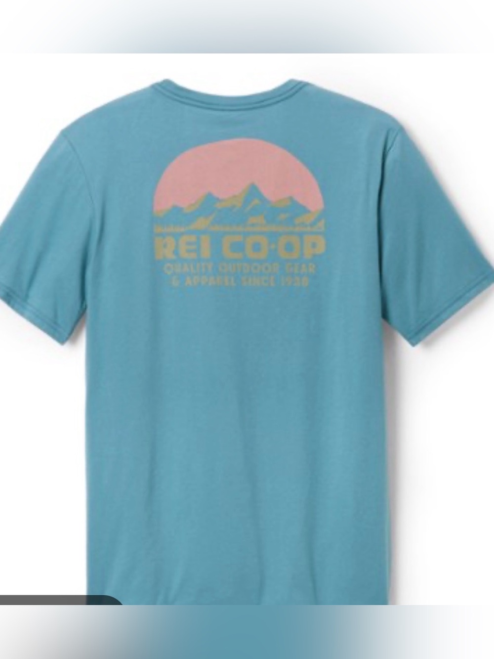REI Co-op shirt